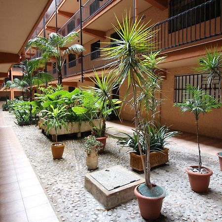 Apartamento Benidorm 3 Kültér fotó